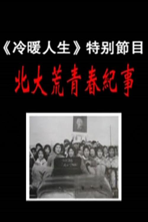 黑帮大佬和我的365天