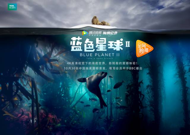 玉米视频播放器剧照1