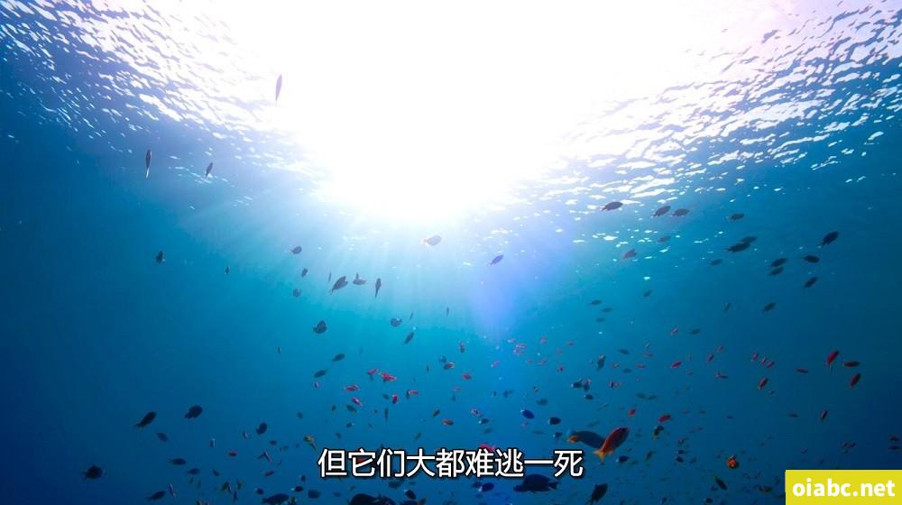 hdzone 高清地带剧照1